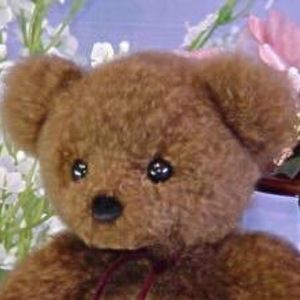 Meet your Posher, Shania